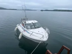 ���� 18. 2022 ���, ��������� ���������, 80��.�., ������ ����