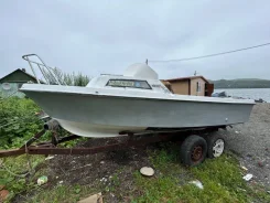 Yamaha Fish 17. ����� 5��., ��������� ���������, 60��.�., ������ ����