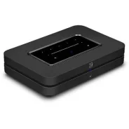 ������� ������������� Bluesound Node N130 ����