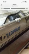 Tadpole ����