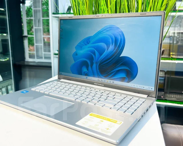 Asus VivoBook Go 15 ����