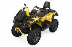 Stels ATV 1000G Guepard Trophy EPS. ��������, ��. ��� ����� �� ������������ ����