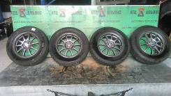 Abelia Sport