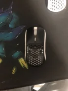 ���� �������. ����