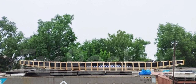 Campion. 2024 ���, ����� 12,4��., ��������� ��� ��������� ����