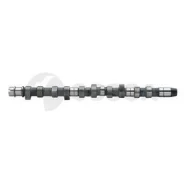 ����������������� ��� / 09909 Ossca 09909 ����