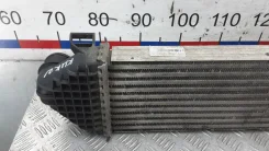���������� Ford Focus/Focus RS/Focus ST III 2010-2019 [BV619L440AD, W2712003CZ] BV619L440AD ����