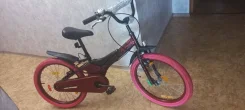 XDS ����