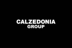  --.  , Calzedonia.   8 