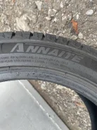 Annaite. ������, ��� �����, 2022 ���, �/�, ����� �� 5 % ����