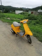 Honda Pal. 49����. ��., ��������, ��� ���, ������ �� �� ����