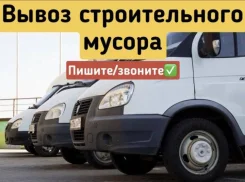 ����� ������������� ������. ����