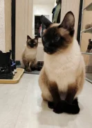 ���������� ��������. ����