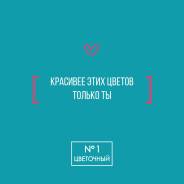 �������� (346) ����