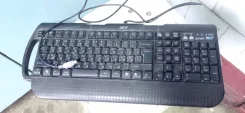 ����������. ����