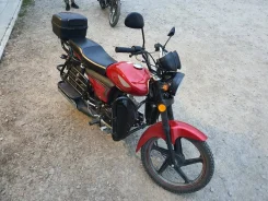 Alpha 50. 49����. ��., ��������, ��� ���, ������ �� �� ����