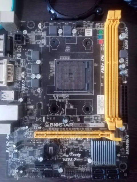AMD ����