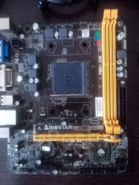 AMD ����