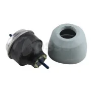 ����� ��������� �������� 01899 Ossca 01899 ����