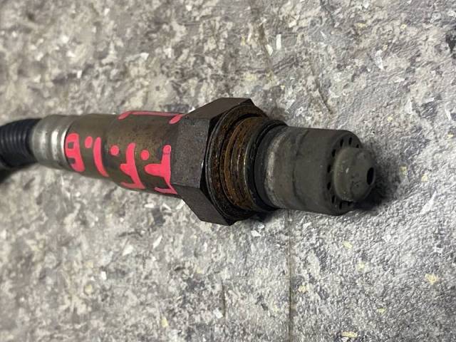   FORD Focus 1309292 1309292 