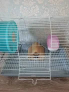������. ����
