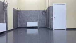 ������ ���������. ����