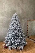 ���� �������������. ����