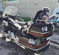 Honda Gold Wing. 1 520����. ��., ��������, ���������, ������ �� �� ����
