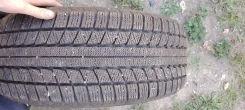 Triangle TR777. ������, ��� �����, 2023 ���, �/�, ����� �� 5 % ����