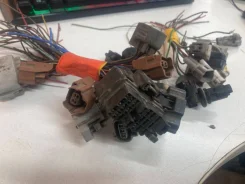 ����� �� �������� Toyota � ������ ����