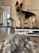 �������. ����