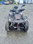 Linhai-Yamaha 400. ��������, �� ����