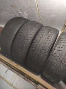 Winter Tact. �����������, 2013 ���, �/�, ����� 5 % ����