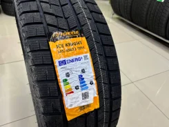 Tercelo Ice Knight. ������, ��� �����, 2024 ���, ����� ����