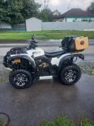 Stels Leopard 600Y. ��������, ���� ���\���, � �������� ����