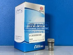 ������ ����������� �������� ��������� ����� Shacman X3000 WP10, WP12, WP13 ���� 5 Weichai 612630080306 612630080306 ����