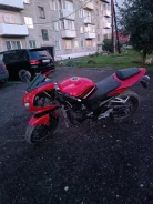 Irbis. 250����. ��., ��������, ���������, ������ �� �� ����