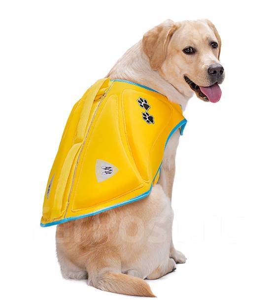 Жилет для плавания спасательный для собак р-р L, в наличии. Цена: 1 050 ...