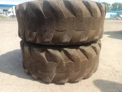 L-Guard. ������, �/�, ����� 50 % ����
