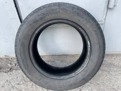 Presa PS01. ������, 2019 ���, �/�, ����� 5 % ����