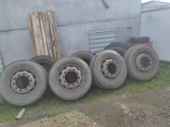 Roadlux. �����������, �/�, ����� 50 % ����
