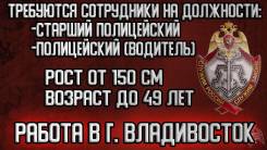 �����������-��������. ��� �� �. ������������. ����� ������ 4 ����