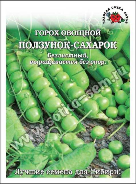 Горох Ползунок Сахарок /Сотка/ 10г/ раннесп. безлистный h-70см/*250 ...