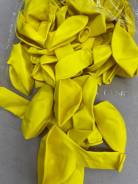 ���� ���������. ����