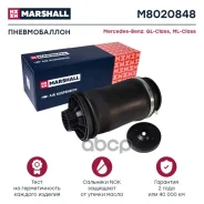 ������������ | ��� ����/��� | Marshall ���. M8020848 M8020848 ����