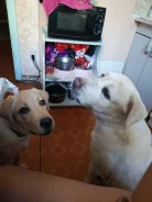 ������. ����