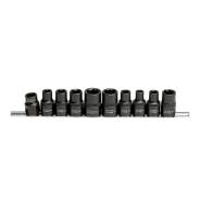   .  RIBE, , ,  , 10 . Licota ATF-0019A 