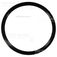 ������ �������������� Victor Reinz 407636700 407636700 ����