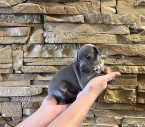 ��������. ����