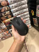 ���� �������. ����